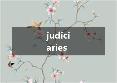 judiciaries是什么意思