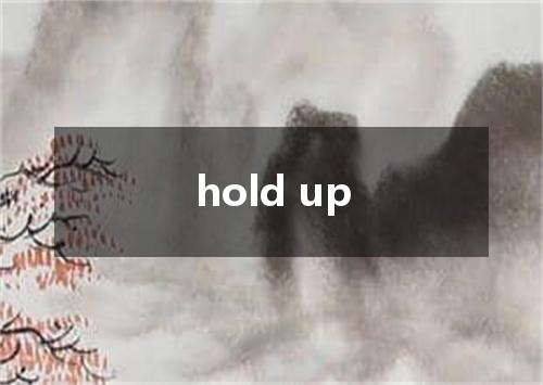 hold up是什么意思
