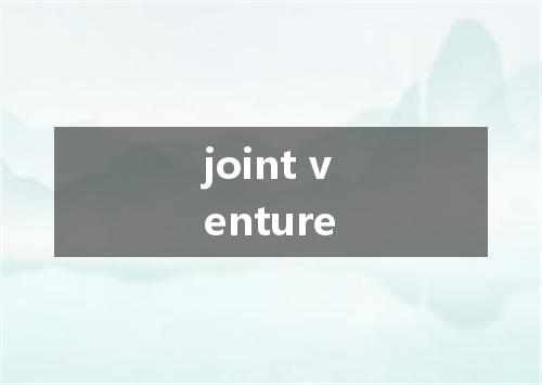 joint venture是什么意思