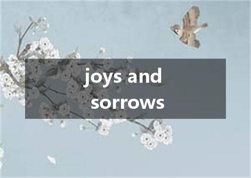 joys and sorrows是什么意思