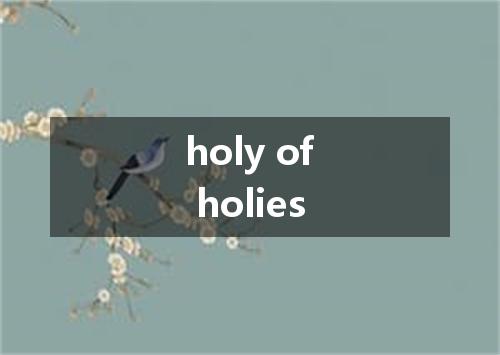 holy of holies是什么意思