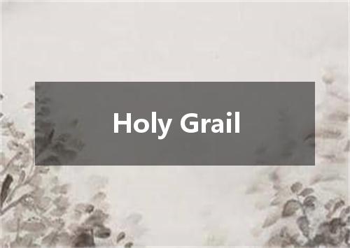 Holy Grail是什么意思