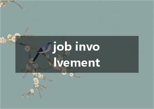 job involvement是什么意思