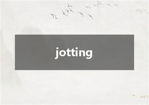 jotting是什么意思