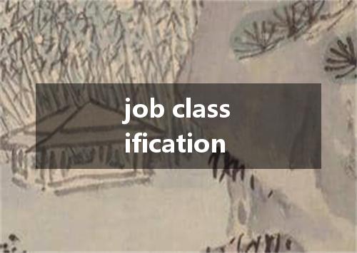 job classification是什么意思