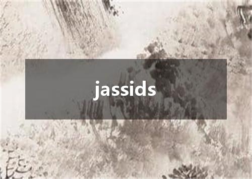 jassids是什么意思