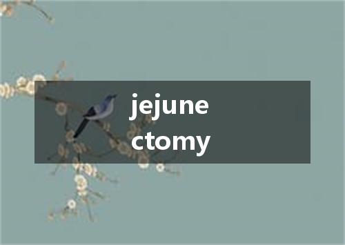 jejunectomy是什么意思