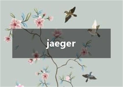 jaeger是什么意思