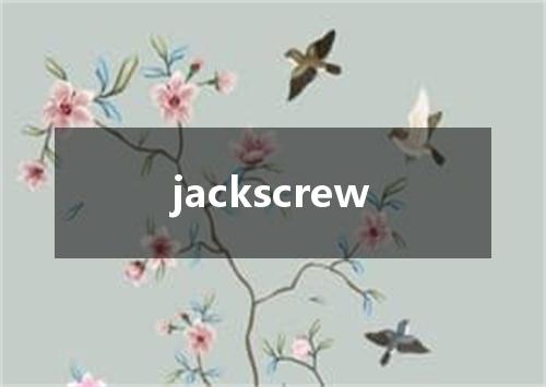 jackscrew是什么意思