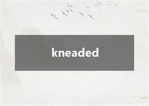 kneaded是什么意思
