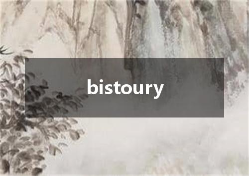 bistoury是什么意思