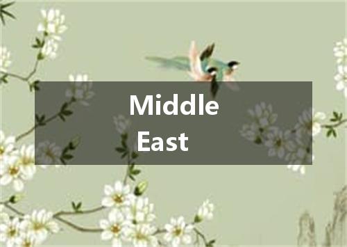 Middle East是什么意思