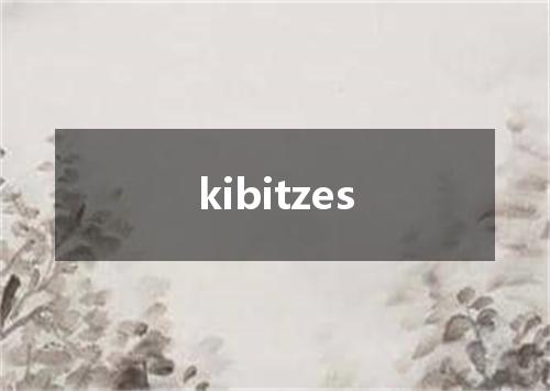 kibitzes是什么意思