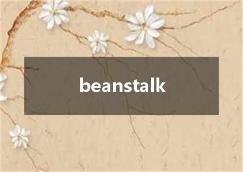 beanstalk是什么意思
