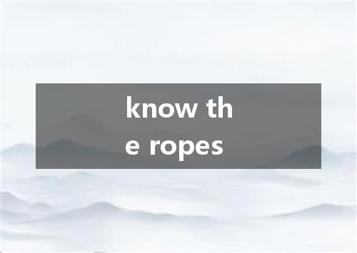 know the ropes是什么意思