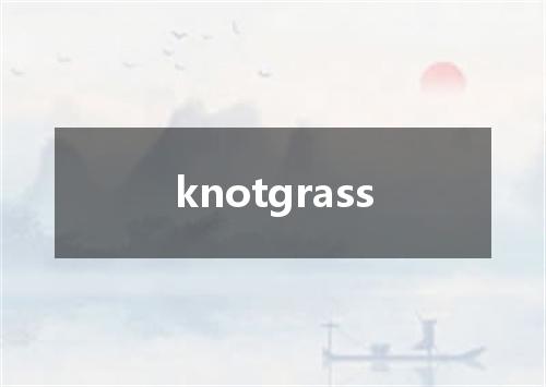 knotgrass是什么意思