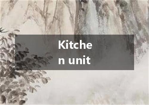 Kitchen unit是什么意思