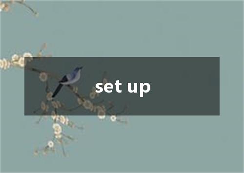 set up是什么意思
