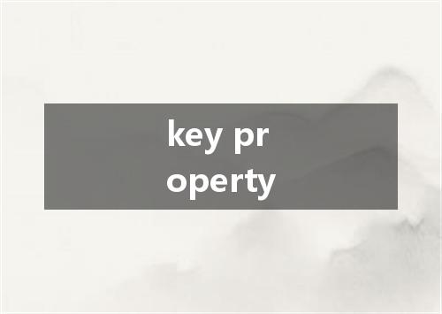 key property是什么意思