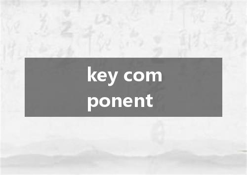 key component是什么意思