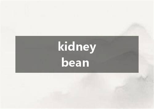 kidney bean是什么意思