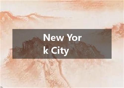 New York City是什么意思