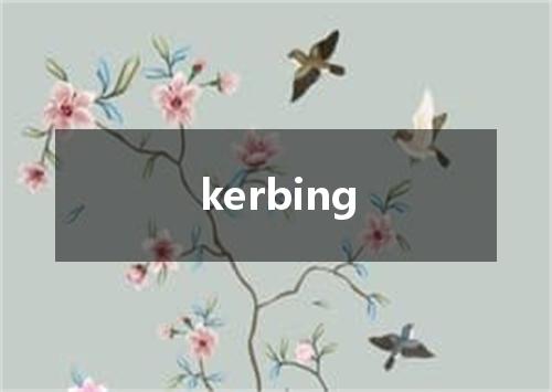 kerbing是什么意思