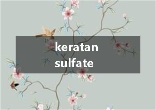 keratan sulfate是什么意思