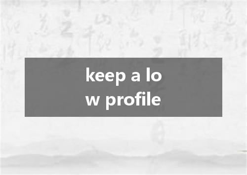 keep a low profile是什么意思