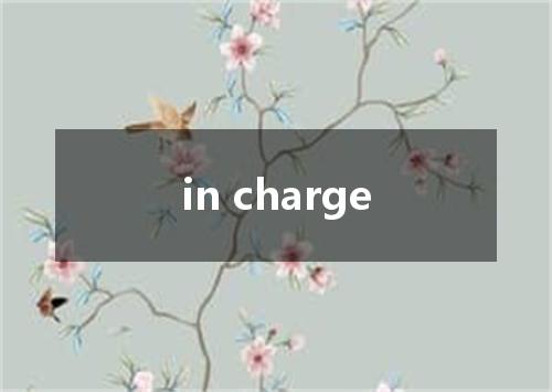 in charge是什么意思
