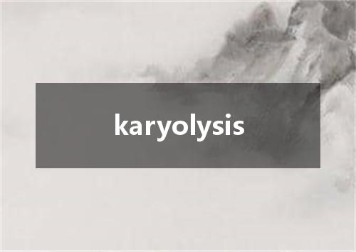 karyolysis是什么意思