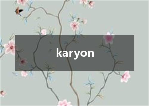 karyon是什么意思
