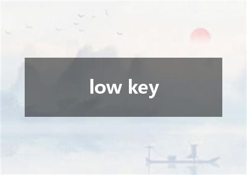 low key是什么意思