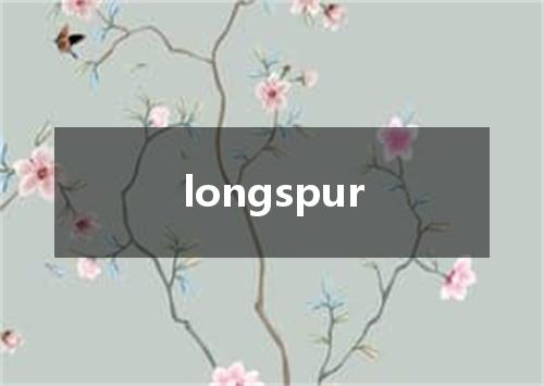 longspur是什么意思