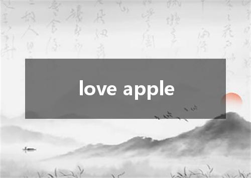 love apple是什么意思