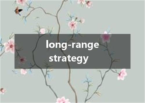 long-range strategy是什么意思