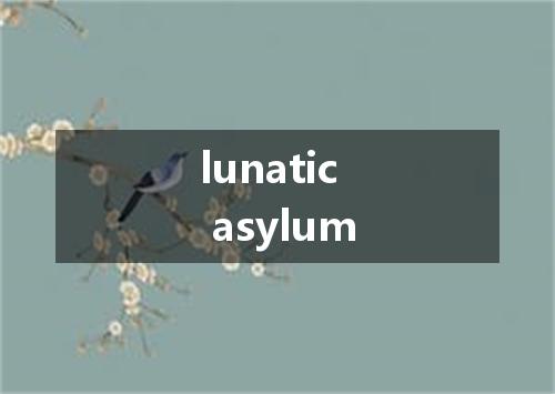 lunatic asylum是什么意思