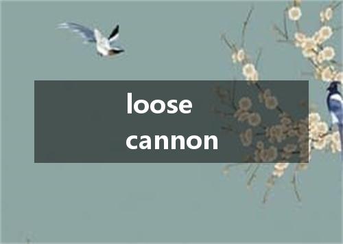 loose cannon是什么意思