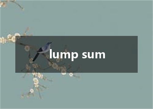 lump sum是什么意思