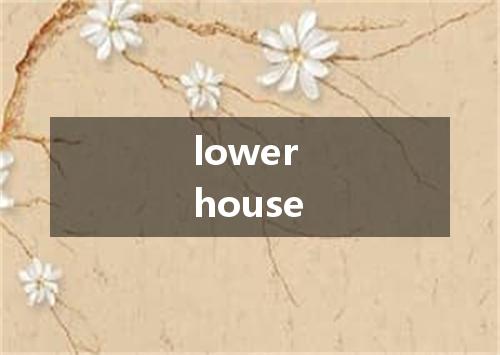 lower house是什么意思