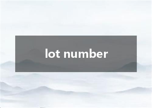 lot number是什么意思