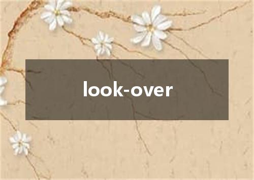 look-over是什么意思