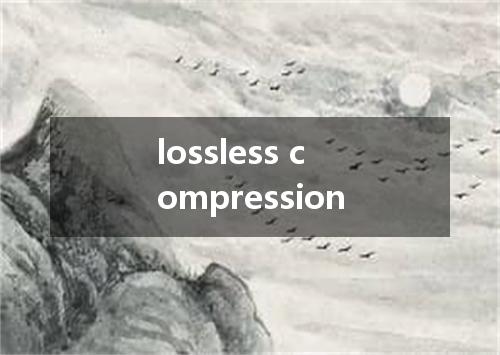 lossless compression是什么意思