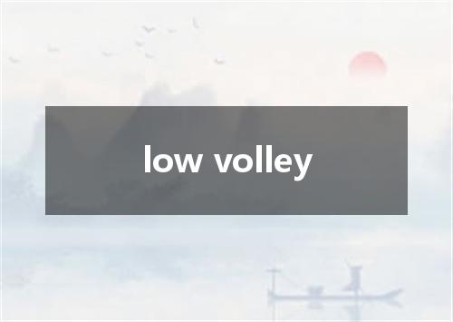 low volley是什么意思