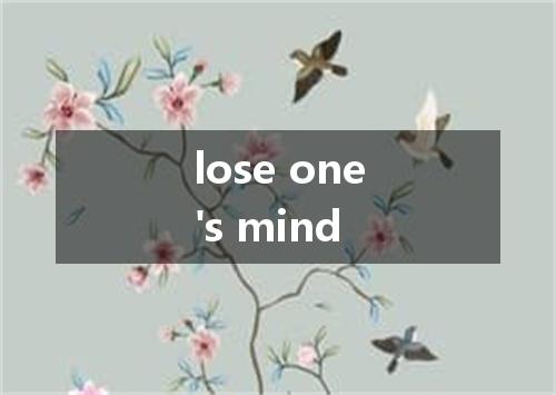 lose one's mind是什么意思