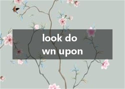 look down upon是什么意思