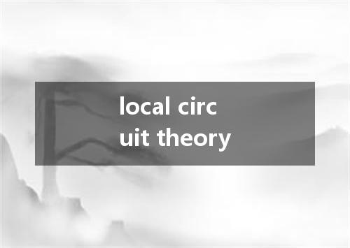 local circuit theory是什么意思