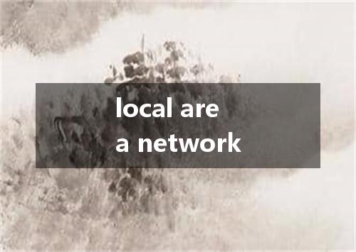 local area network是什么意思