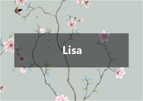 Lisa是什么意思