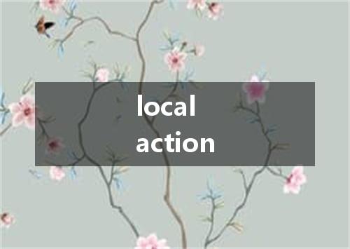 local action是什么意思
